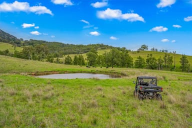 Property Carrowbrook Road Mount Olive, SINGLETON NSW 2330 IMAGE 0