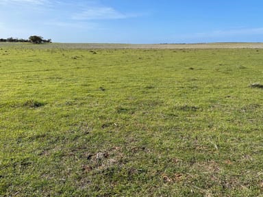 Property Lot 18 Tod Highway, Warramboo SA 5650 IMAGE 0