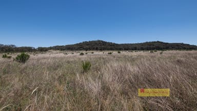 Property 2/1921 Barneys Reef Road, Gulgong NSW 2852 IMAGE 0