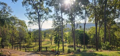 Property 718 Devereux Creek Road, Devereux Creek QLD 4753 IMAGE 0