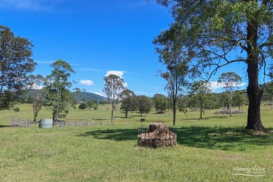 Property 141 Kings Creek Road, KRAMBACH NSW 2429 IMAGE 0