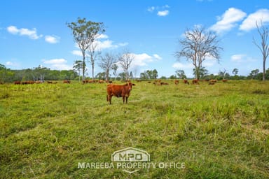 Property 150 & 154, 764 Hodzic Road, BIBOOHRA QLD 4880 IMAGE 0