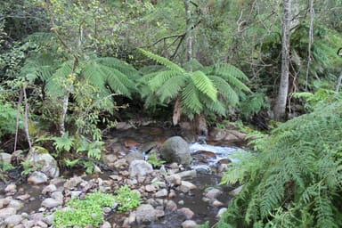 Property Lot 2 Off Neringla Road, BRAIDWOOD NSW 2622 IMAGE 0