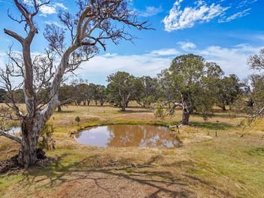 Property Glenelg Highway Bochara, Bochara VIC 3301 IMAGE 0