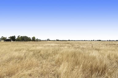 Property Lot 905 Showgrounds Road, OAKEY QLD 4401 IMAGE 0