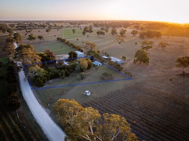 Property 437 Old Comaum Rd, Penola SA 5277 IMAGE 0