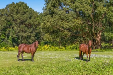 Property 155 Main Arm Road, Mullumbimby NSW 2482 IMAGE 0