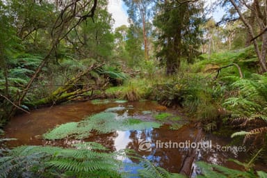 Property 31 Coulson Road, Monbulk VIC 3793 IMAGE 0