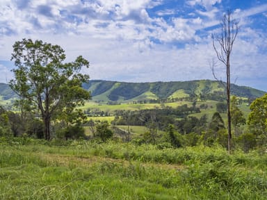 Property 555 Moores Road, Monkerai NSW 2415 IMAGE 0