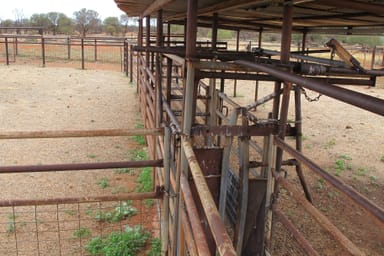 Property Cunyu Station, Wiluna WA 6646 IMAGE 0