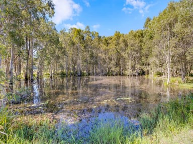 Property 81 Rainforest Drive, MERIDAN PLAINS QLD 4551 IMAGE 0