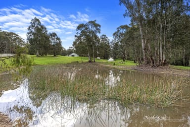 Property 253 Wilhelmina Falls Road, Murrindindi VIC 3717 IMAGE 0