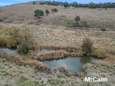 Property Lot 1 DP 1185396 Rugby Road (Dalton), Gunning NSW 2581 IMAGE 0
