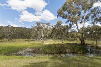 Property 733 Hereford Hall Road, HEREFORD HALL NSW 2622 IMAGE 0