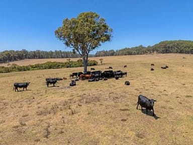 Property 202 Dingo Flat Road, Tingledale VIC 6333 IMAGE 0