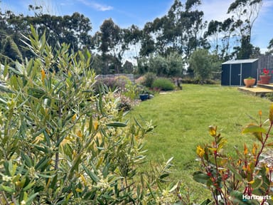 Property 25 Reedy Road, Beaumaris TAS 7215 IMAGE 0