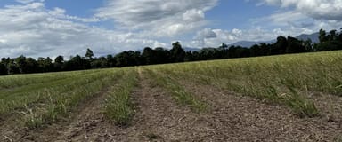 Property LOT 82 Gibbs Rd, Munro Plains QLD 4854 IMAGE 0