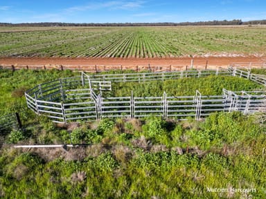 Property Murrumbidgee River Road Murrumbidgee River Road, Carrathool NSW 2711 IMAGE 0