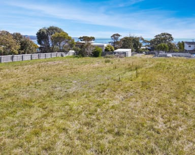 Property 24 Coffey Drive, BINALONG BAY TAS 7216 IMAGE 0