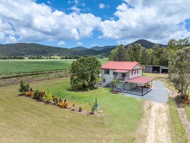 Property 655 Gregory Cannon Valley Road, STRATHDICKIE QLD 4800 IMAGE 0