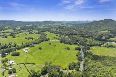 Property 981 Numinbah Road, CRYSTAL CREEK NSW 2484 IMAGE 0