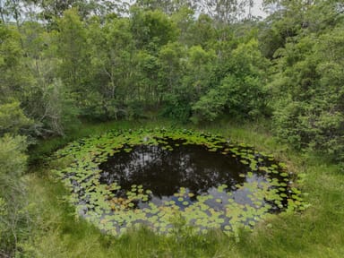 Property Lot 102 Pacific Highway, COOLONGOLOOK NSW 2423 IMAGE 0