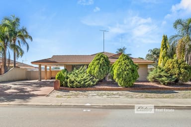 Property 53 Millard Street, Eaton WA 6232 IMAGE 0