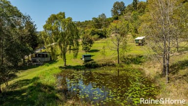 Property 236 Chinamans Creek Road, TUCHEKOI QLD 4570 IMAGE 0