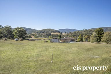 Property 4, 24 Silver Hill Road, CYGNET TAS 7112 IMAGE 0