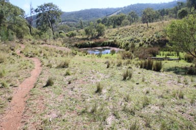 Property lot 1, 1872 Mole River Road, Mole River NSW 2372 IMAGE 0