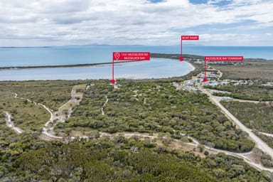Property 1531 Musselroe Road, Musselroe Bay TAS 7264 IMAGE 0