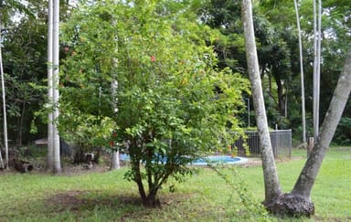 Property 15 Mardango Crescent, Batchelor NT 0845 IMAGE 0