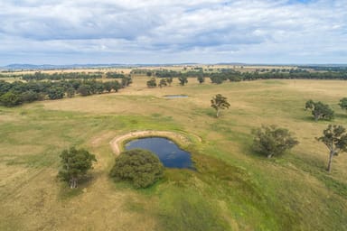 Property 96 Stubbo Road, Gulgong NSW 2852 IMAGE 0