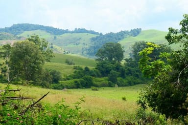 Property 72 Tooloom Street, Mallanganee NSW 2469 IMAGE 0