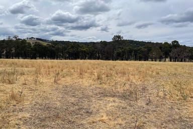 Property Lot 245 & Donnybrook-Boyup Brook Road, Glen Mervyn WA 6239 IMAGE 0