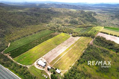 Property 78 Fabris Road, DIMBULAH QLD 4872 IMAGE 0