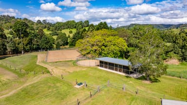 Property 157 Middle Creek Road, FEDERAL QLD 4568 IMAGE 0