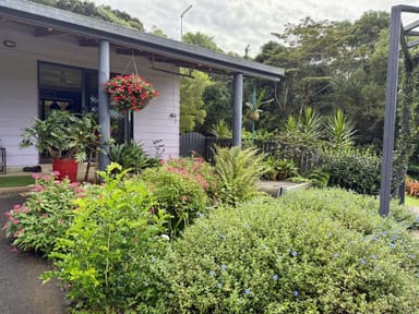 Property 477 Pinnacle Road, Julatten QLD 4871 IMAGE 0