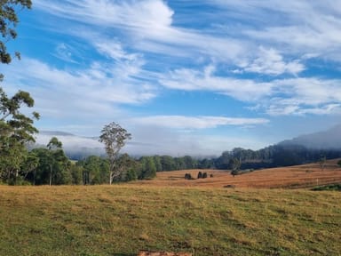 Property 86 Myall Scrub Creek Road, BALLENGARRA NSW 2441 IMAGE 0