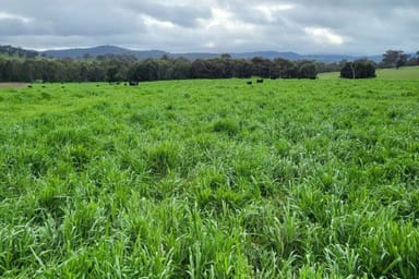 Property 1725 Humula Road, Tarcutta NSW 2652 IMAGE 0