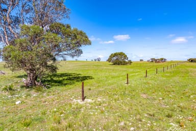 Property 629 Westbrook Road, Tailem Bend SA 5260 IMAGE 0