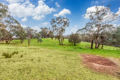 Property 825 Strath Creek Road, Tyaak VIC 3658 IMAGE 0