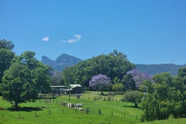 Property 30 Larkins Road, TYALGUM NSW 2484 IMAGE 0