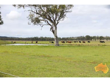 Property 850 Morgans Road, WINDERA QLD 4605 IMAGE 0