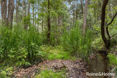 Property 49b Woollamia Road, FALLS CREEK NSW 2540 IMAGE 0