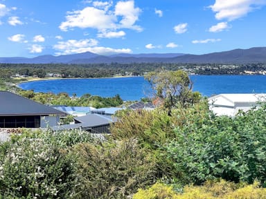 Property 3 Akaroa Avenue, AKAROA TAS 7216 IMAGE 0