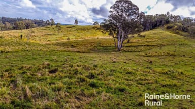 Property 5244 Bruxner Highway, MUMMULGUM NSW 2469 IMAGE 0