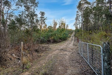 Property 107 Inala Road, FORCETT TAS 7173 IMAGE 0