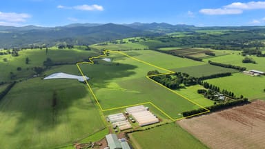 Property 64 Darley And Bains Road, DORRIGO NSW 2453 IMAGE 0