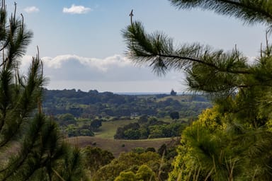 Property 480 Left Bank Road, Mullumbimby Creek NSW 2482 IMAGE 0